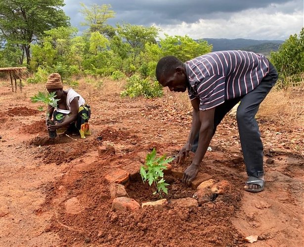 Planting Fruit Trees - Projektupdate Q1, 2022