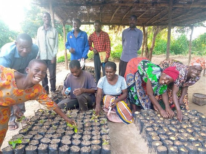 Planting Fruit Trees - Projektupdate Q2, 2022