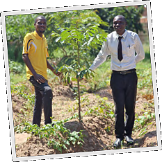Planting Fruit Trees - Projektupdate Q2, 2025